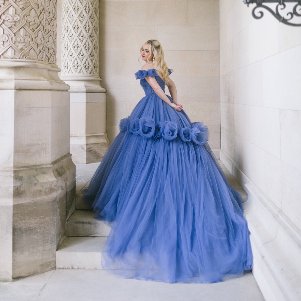 Gorgeous Tarik Ediz gown! Worn for a photo session only!